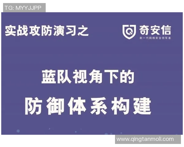 南京攀岩队防守体系解析与战术运用探讨