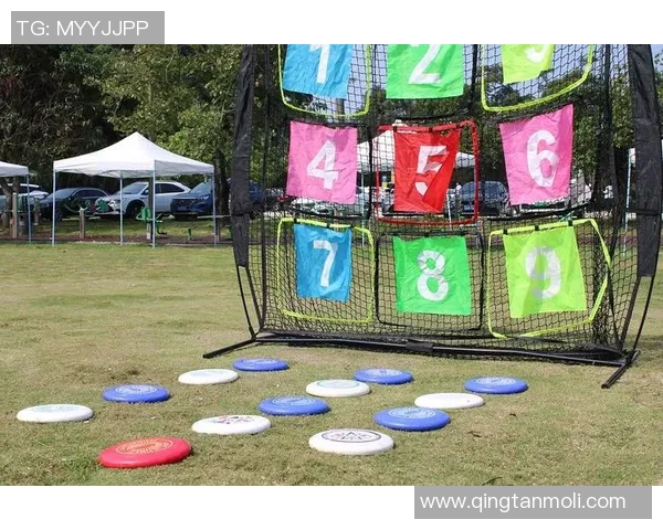 南京飞盘队创下耐力新高引领全国飞盘运动发展新潮流